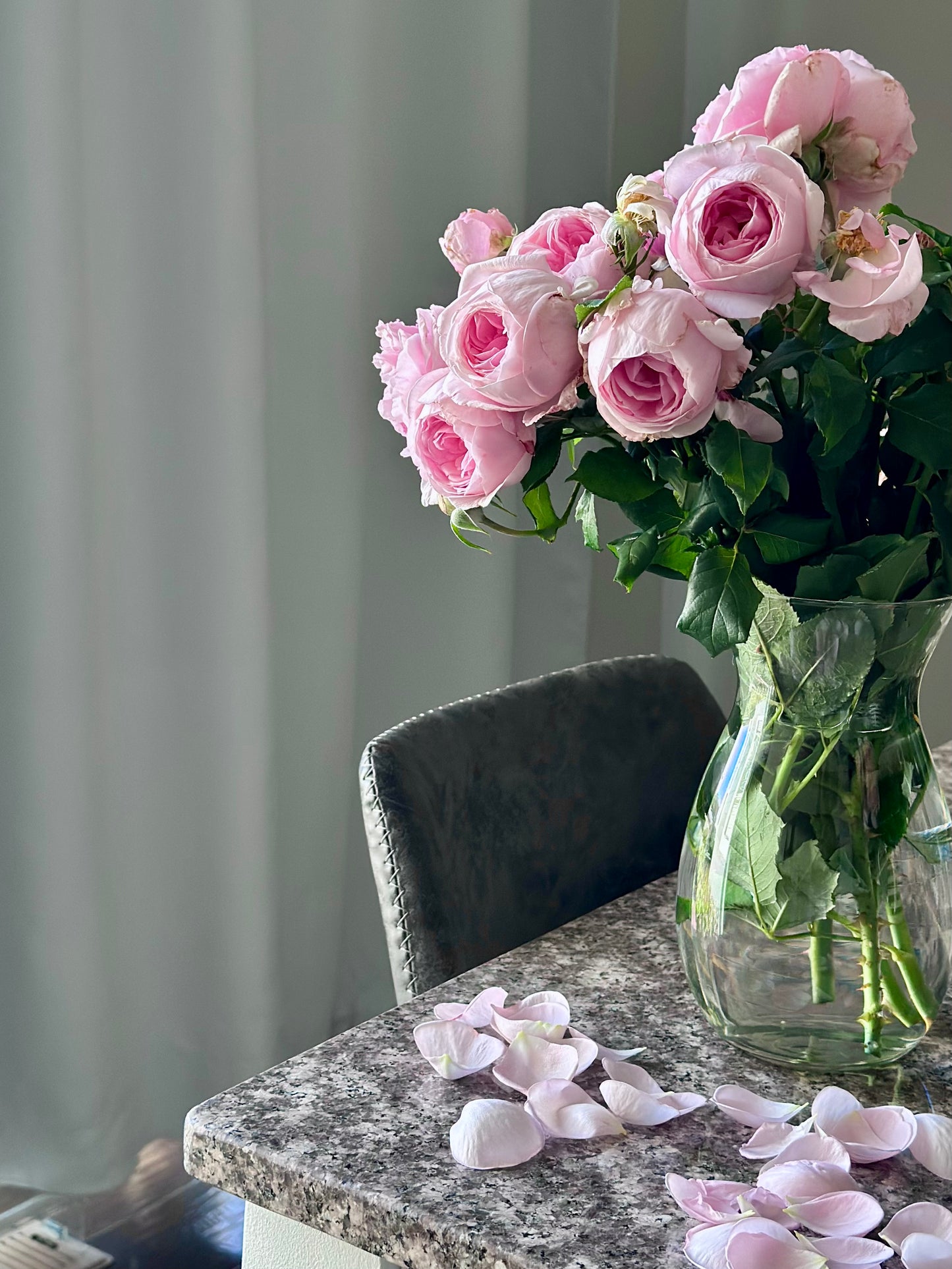 Fragrant Pink French Rose